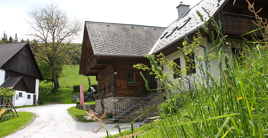 Zetzzottel_Hochlandrind_Bauernhaus